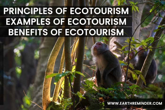 Ecotourism: Principles, Benefits and Examples of Ecotourism