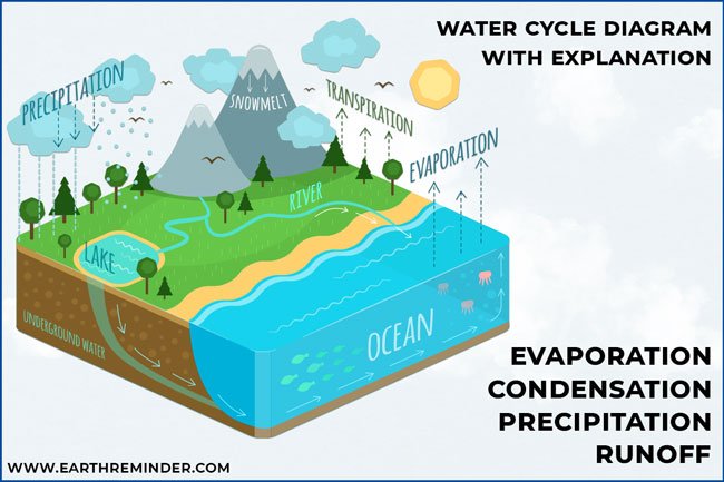 Explaining the Process of Water Cycle with Diagram