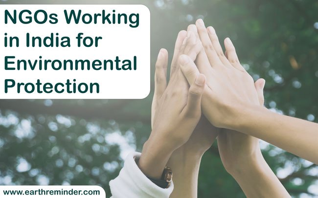 NGOs Working for Environmental Protection in India