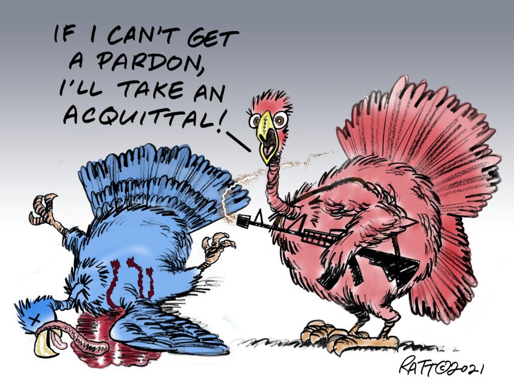 CARTOON: Give Thanks For The Second Amendment