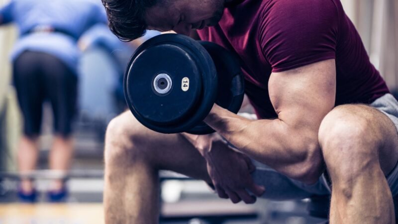 5 Safest Steroid For Muscle Building in 2022