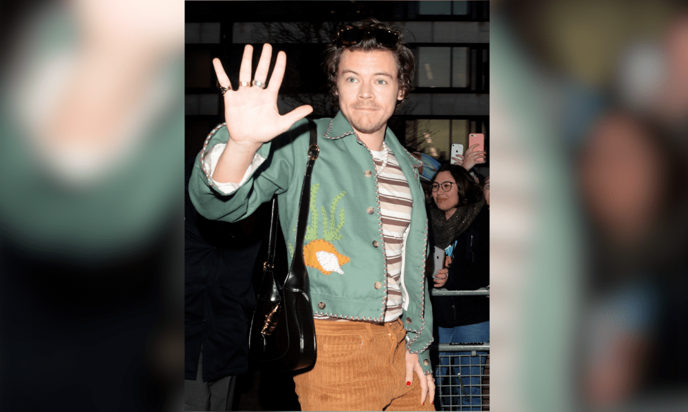 Harry Styles Concert Cancelled Due To COVID