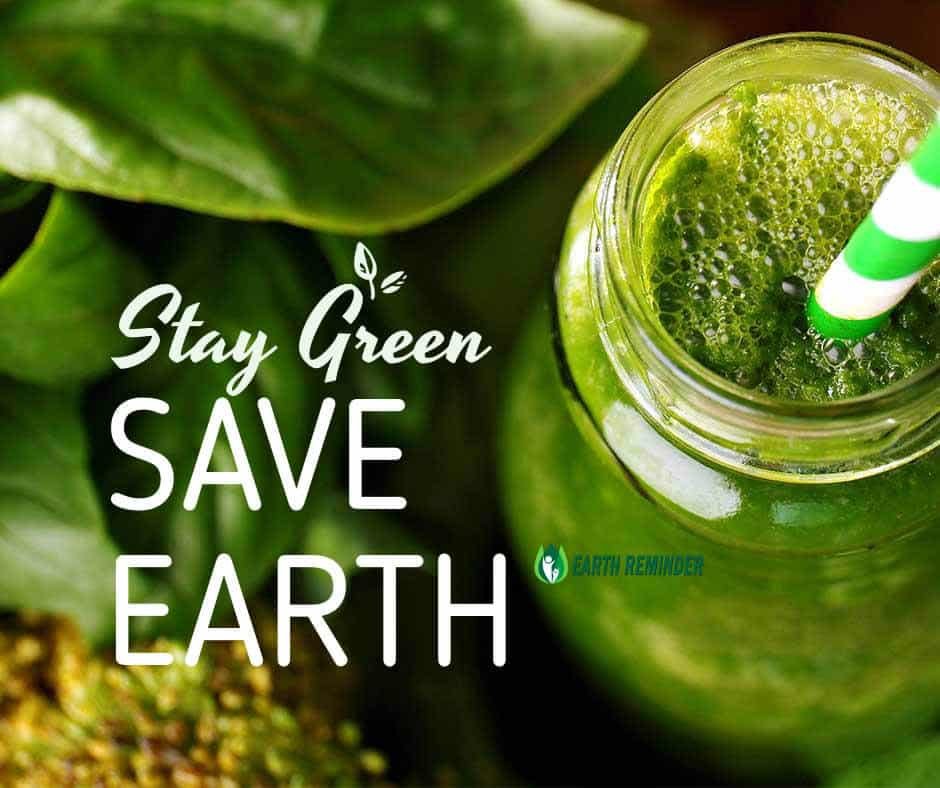 19+ Earth Day Tips to Save Earth in 2022