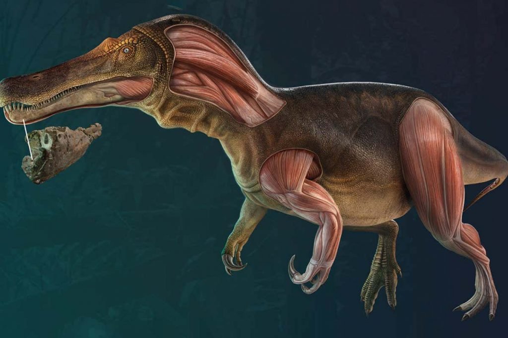 Newly identified dinosaur had teeth that were constantly replaced