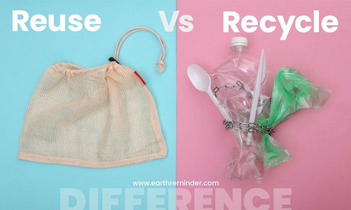 What Is the Difference Between Reuse and Recycle?